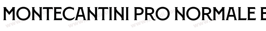 Montecantini Pro Normale Bold字体转换
